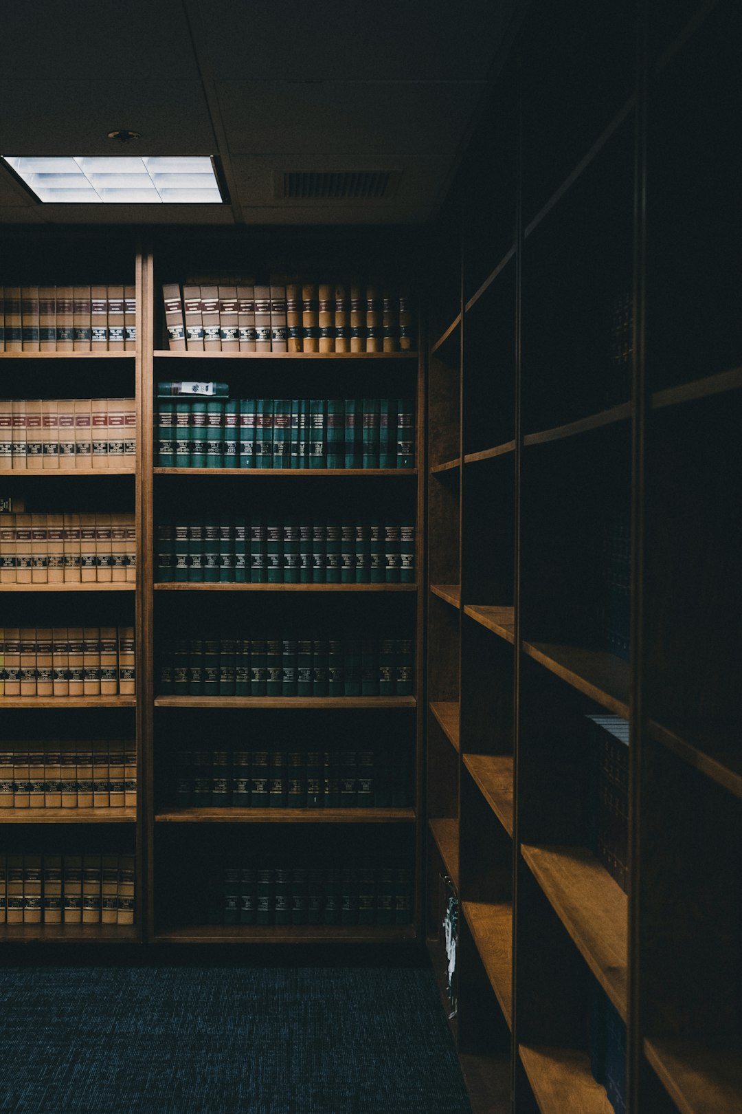 Mastering the First Impression: Your intriguing post title goes here brown-wooden-shelf-with-books-dyksg3agqv4